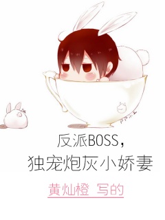 反派BOSS，独宠炮灰小娇妻-双重人格|轻松|宠文-趣阅小说网