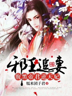 邪王追妻：腹黑帝君逆天妃-宠文|扮猪吃虎|腹黑-趣阅小说网