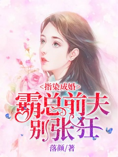 指染成婚：霸总前夫别张狂-豪门|宝宝|总裁|偏执|复仇-趣阅小说网