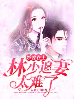 娇妻在上：林少追妻太难了-腹黑|霸道|甜宠|久别重逢-趣阅小说网