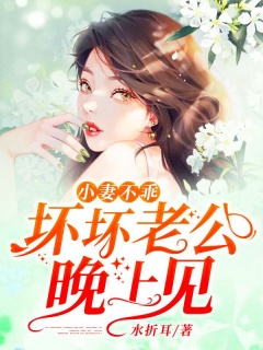 小妻不乖：坏坏老公，晚上见-总裁|萌宝|爽文|甜虐-趣阅小说网