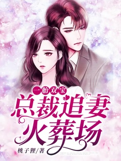 一胎双宝：总裁追妻火葬场-豪门|总裁|腹黑|虐文|前妻|都市-趣阅小说网