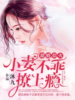 甜婚似火：小妻不乖，撩上瘾-总裁|豪门|甜宠|先婚后爱|爽文-趣阅小说网