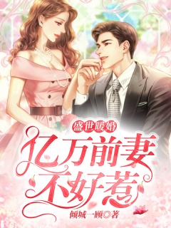 盛世暖婚：亿万前妻不好惹-追妻火葬场|总裁|腹黑|豪门|宠文|现言|医生-趣阅小说网