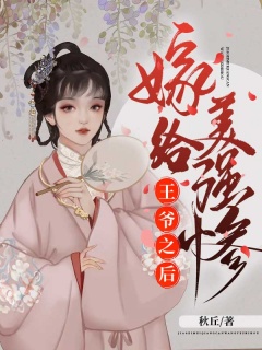 嫁给美强惨王爷之后-架空历史|宫斗宅斗|王妃-趣阅小说网