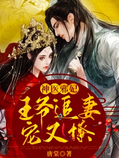 神医邪妃：王爷追妻宠又撩-神医|王妃|打脸|追妻|甜宠-趣阅小说网